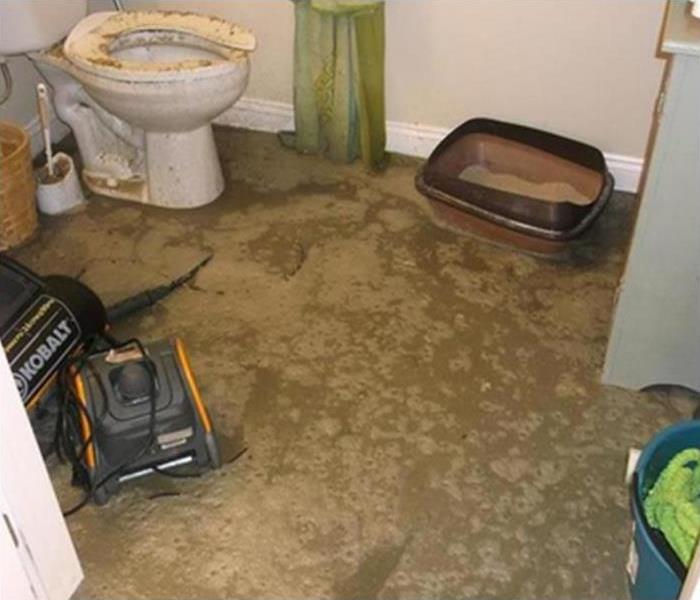 Bathroom Sewage Cleanup