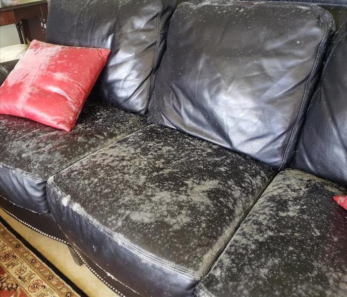 Leather couch with microbial growth